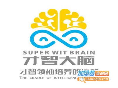才智大脑素质教育加盟费用详解 总投资33.53万元概况